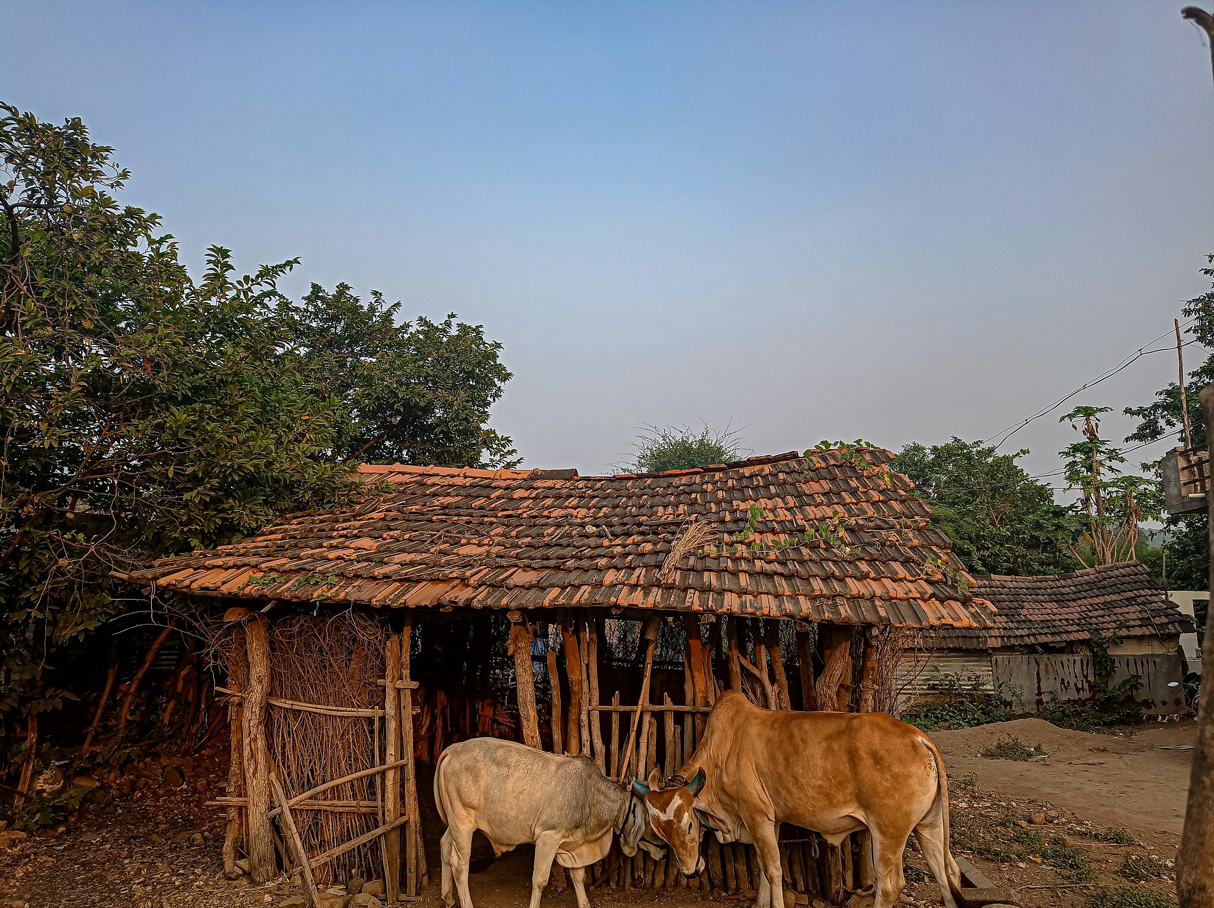 Village Infrastructure in Zurkheda