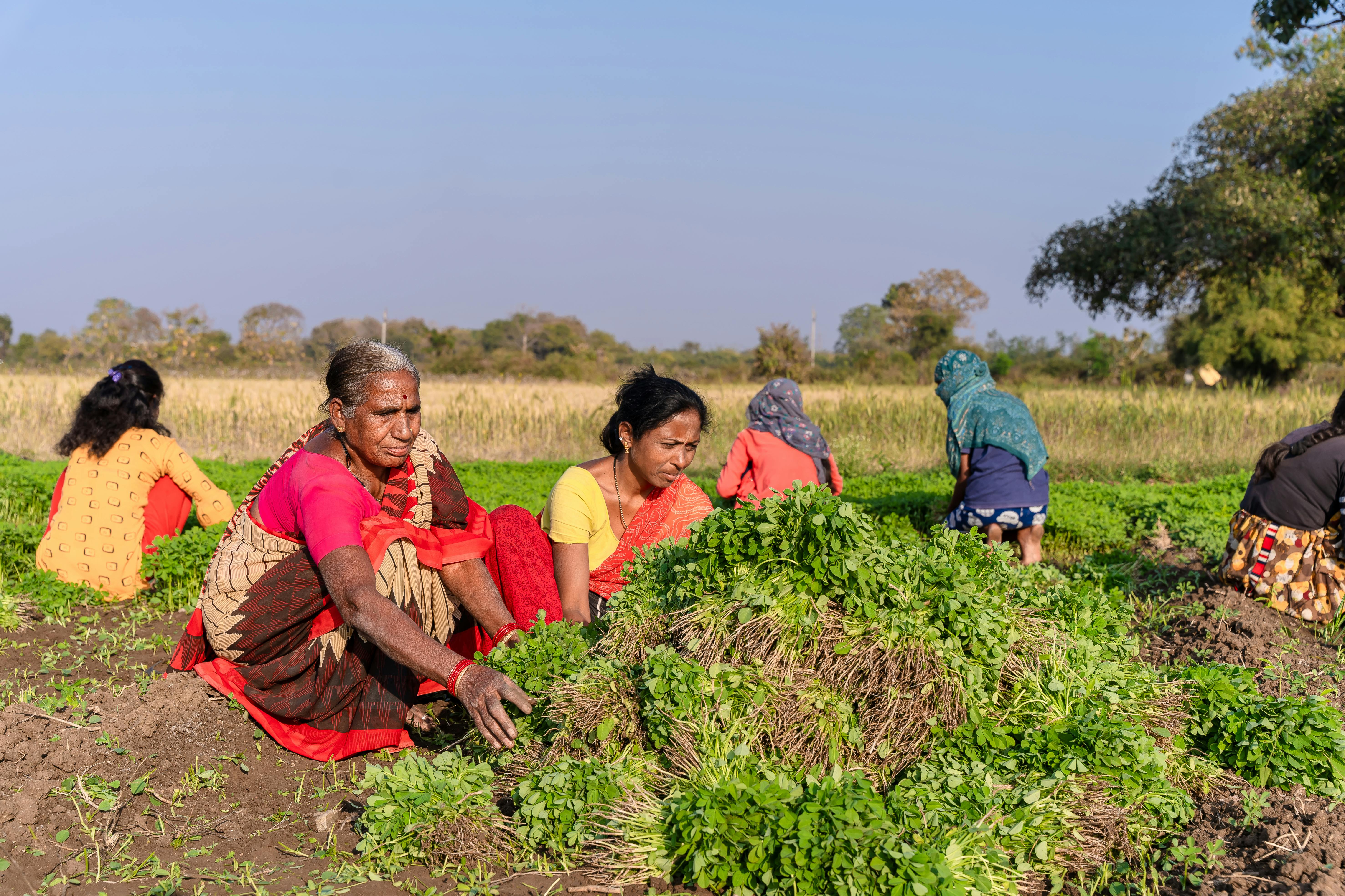 Village Market in Zurkheda