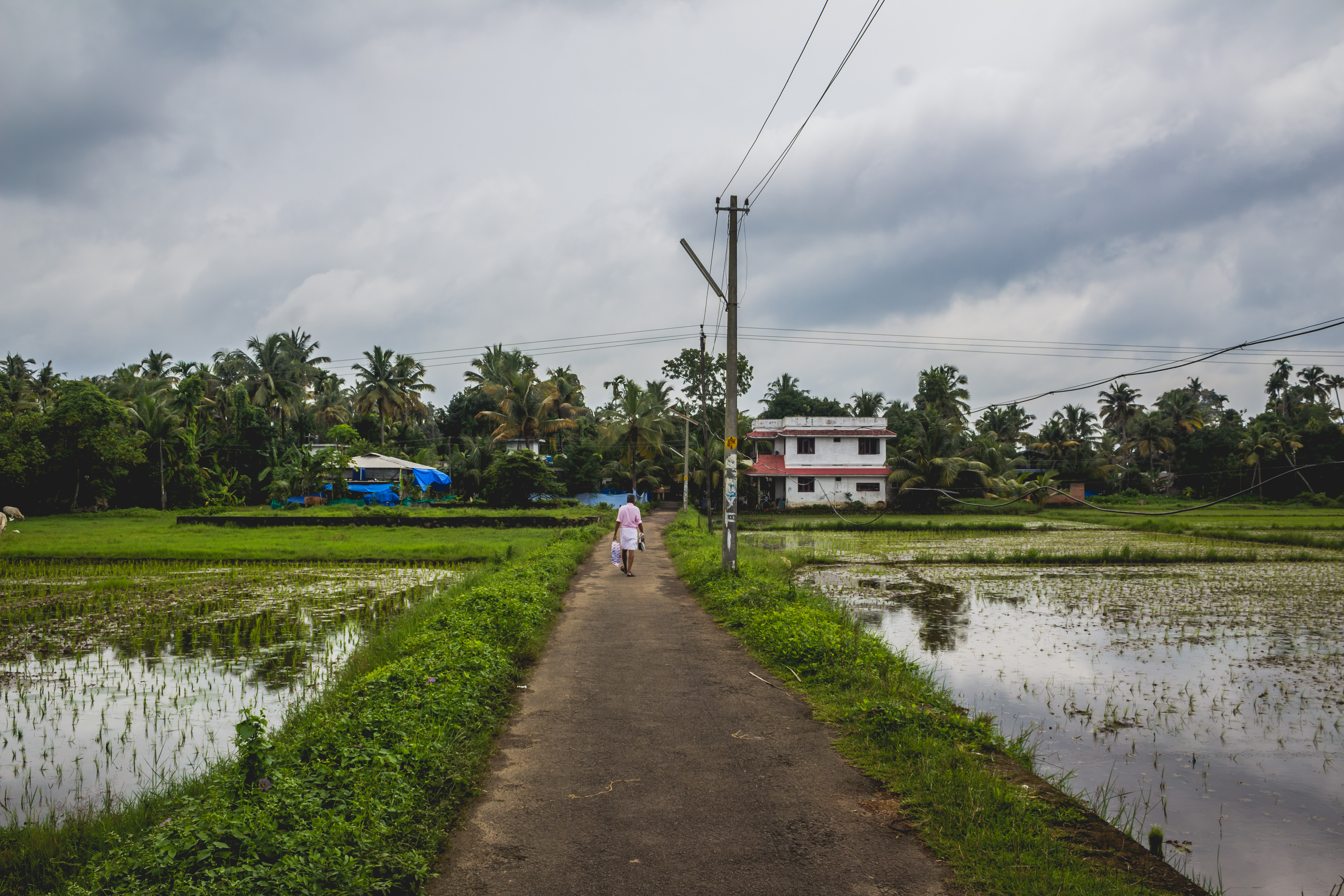 Farmer in Zurkheda village