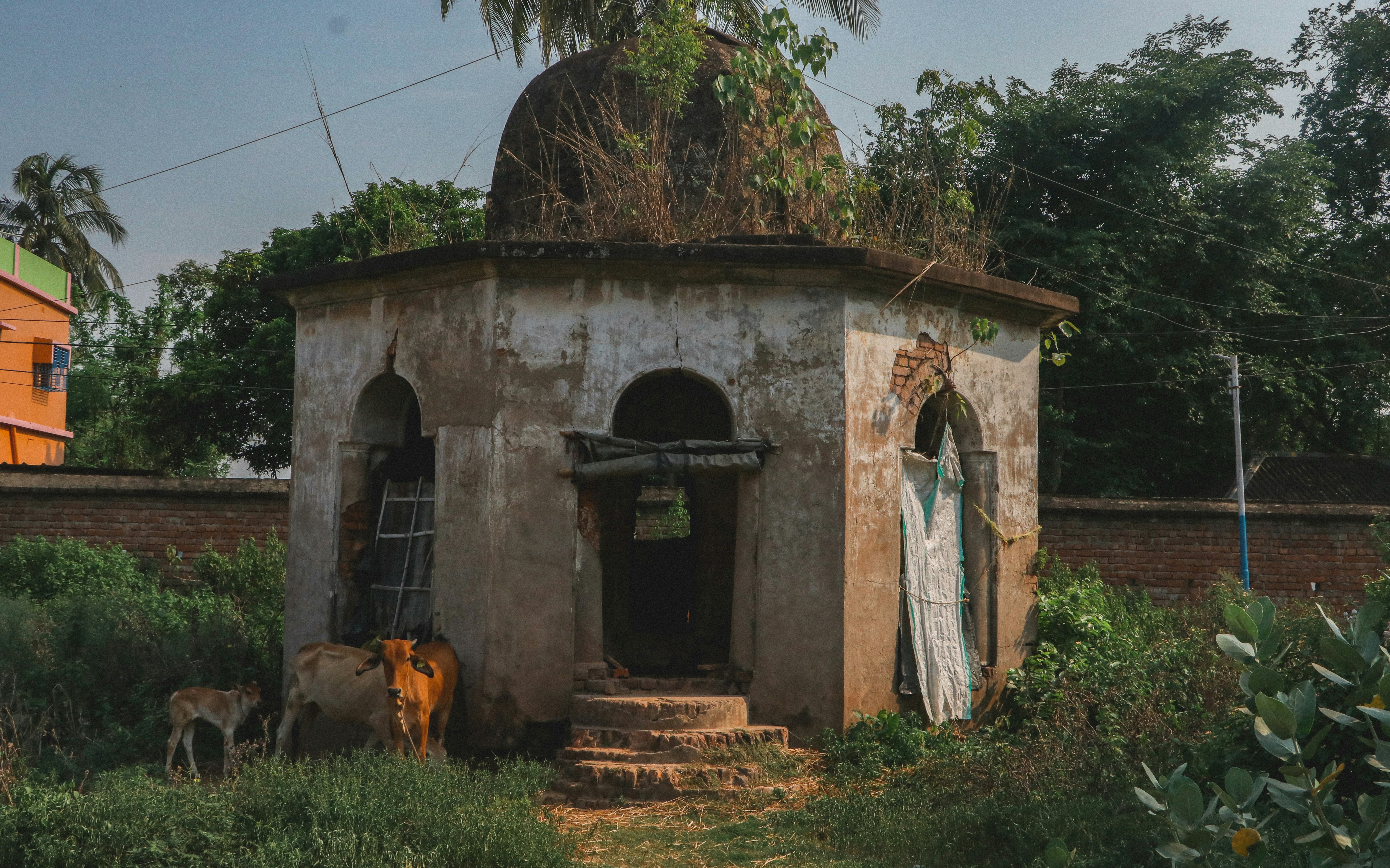 Beautiful landscape of Zurkheda village